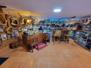 museum1 Sea Life and Shark Museum