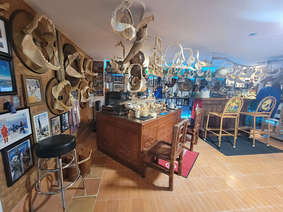 museum2 Sea Life and Shark Museum