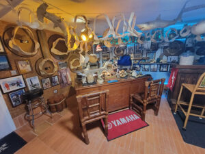 museum3 Sea Life and Shark Museum