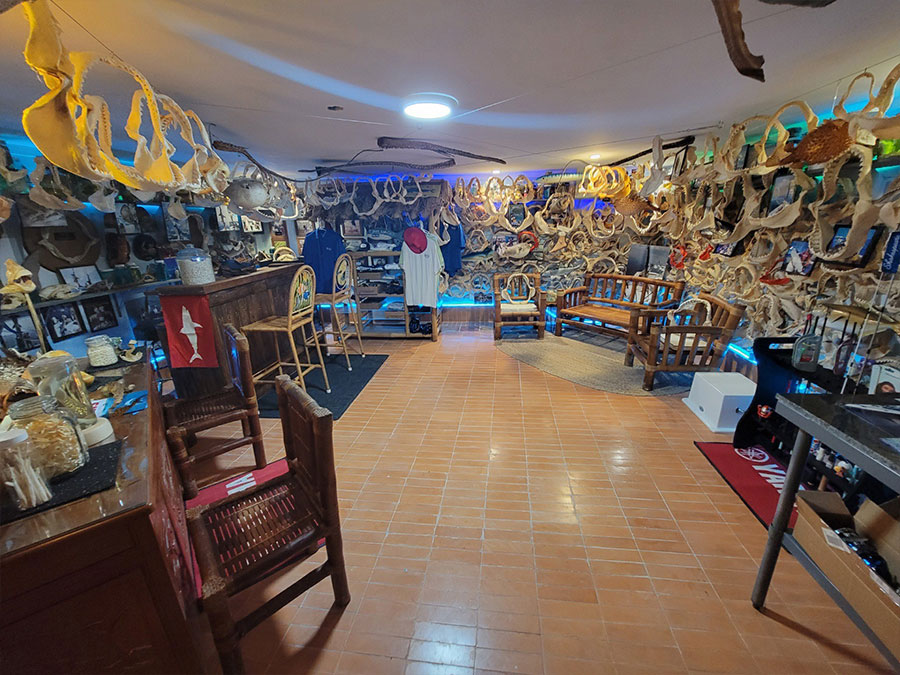 museum4 Sea Life and Shark Museum